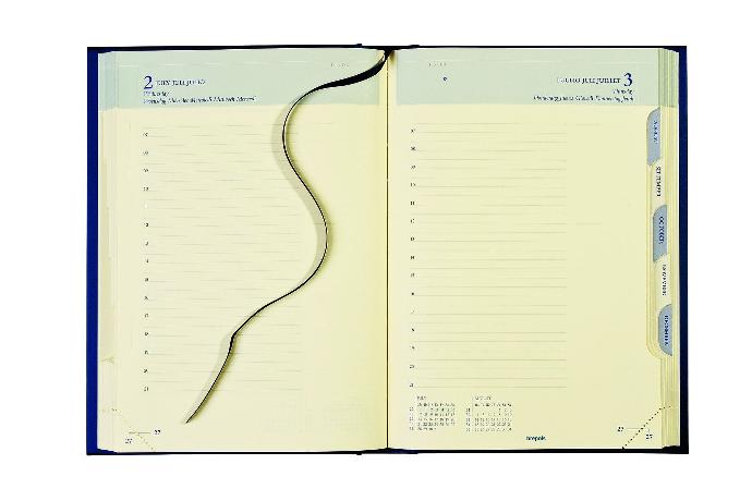 Agenda de bureau Euro 1 jour par page, papier chamois