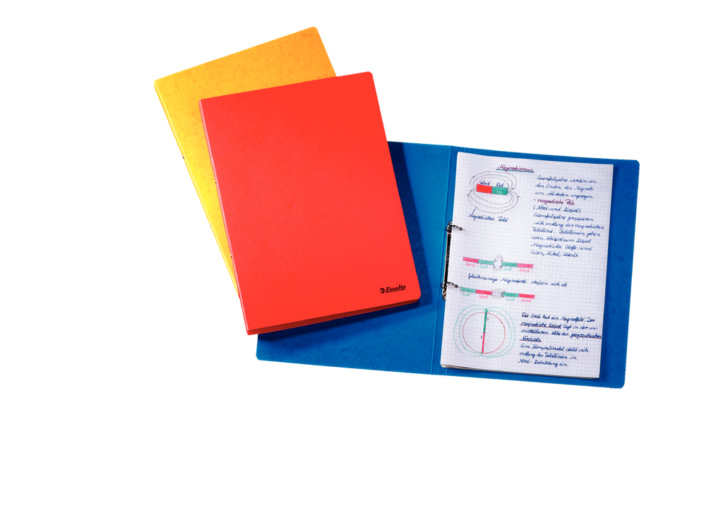Esselte Rainbow Ring Binder 25 mm 2 O-rings mechanism