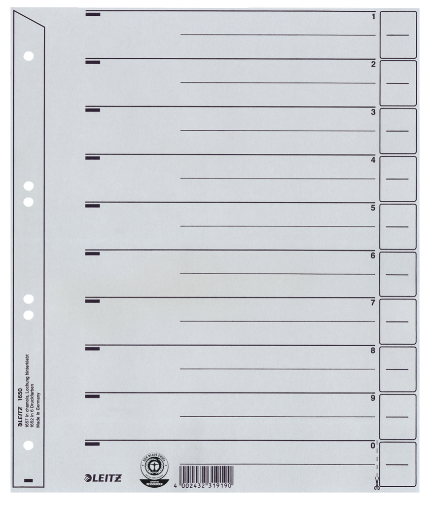 Leitz divider cardboard grey 2/4 rings A4