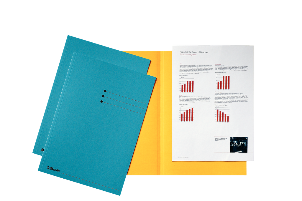 Pochette d'insertion manille Esselte avec onglet A4