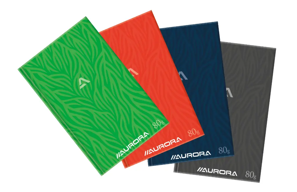 REGISTRE 21,5X33,5 192PAGES LIGNÉ