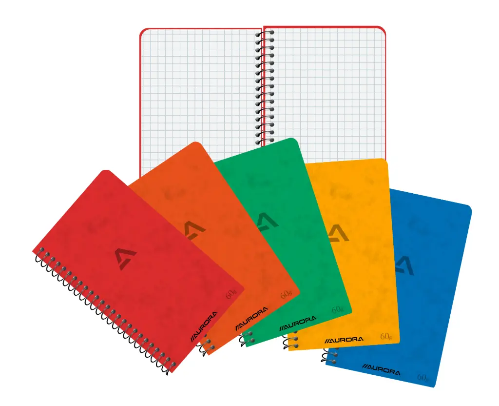 CARNET SPIRALÉ 8X13,5 100P Q5X5