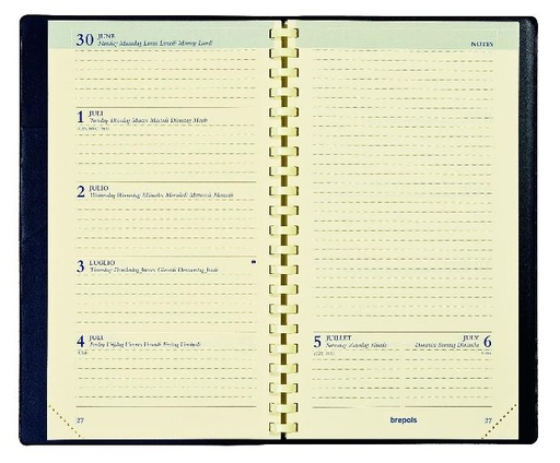 Agenda de poche Notaplan semainier, papier chamois