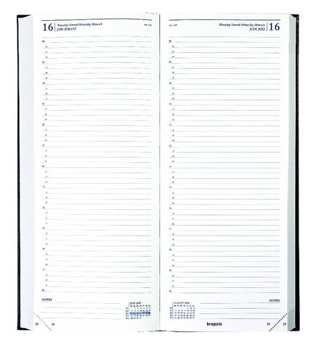 Office diary Saturnus 1 day on 2 pages, white paper