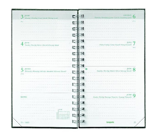 Eco pocket diary Ecorama week to a view