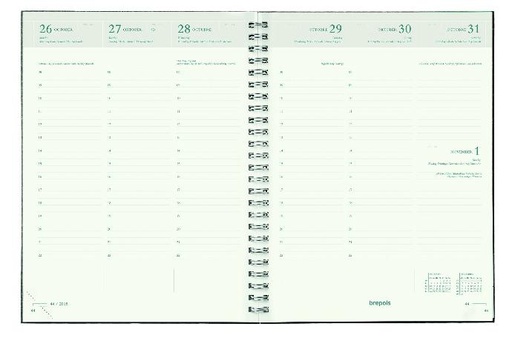 Agenda de bureau Eco Ecotiming semainier