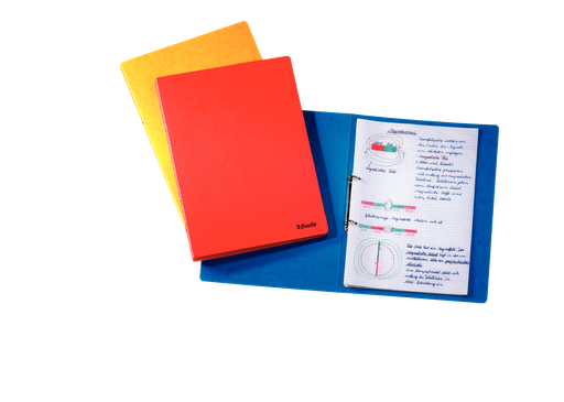 Esselte Rainbow Ring Binder 25 mm 2 O-rings mechanism