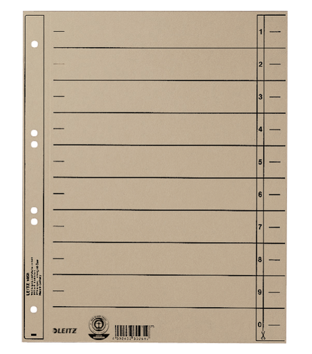 Leitz divider cardboard grey 2/4 rings A4
