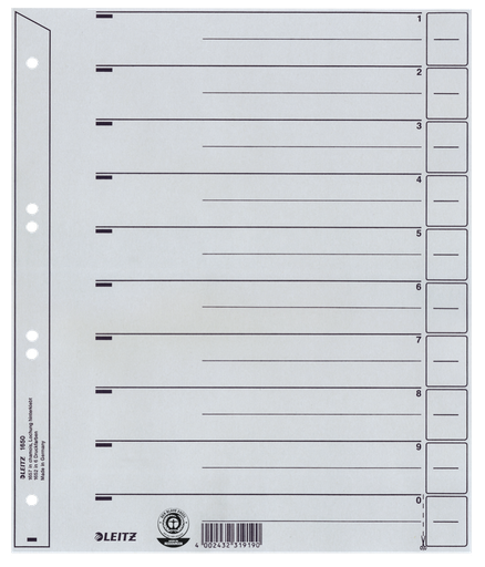 Leitz divider cardboard grey 2/4 rings A4